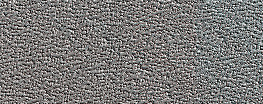 Terrain Sample