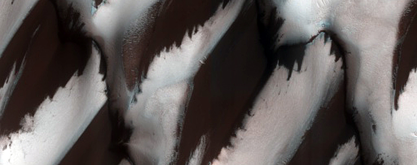 Terrain Sample