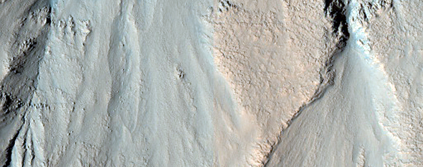 Gully Monitoring