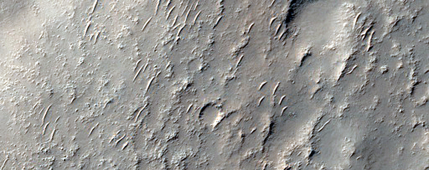 Southern Mid-Latitude Terrain