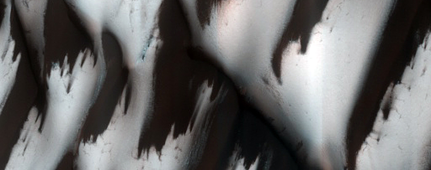 Terrain Sample