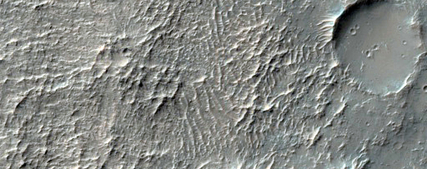 Southern Rim of Dollfus Crater