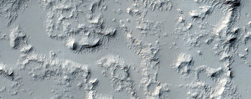 Daedalia Planum