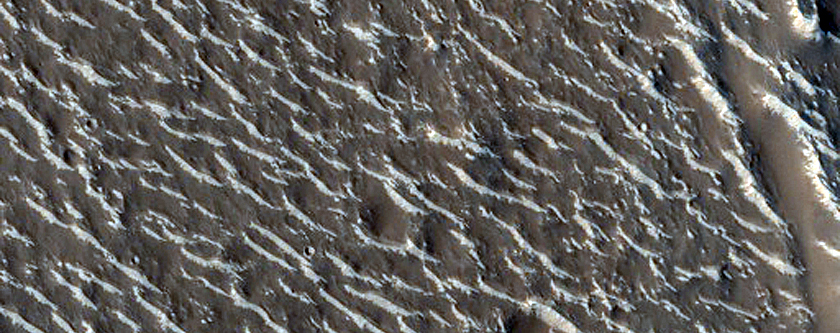 Groups of Ridges in Granicus Valles