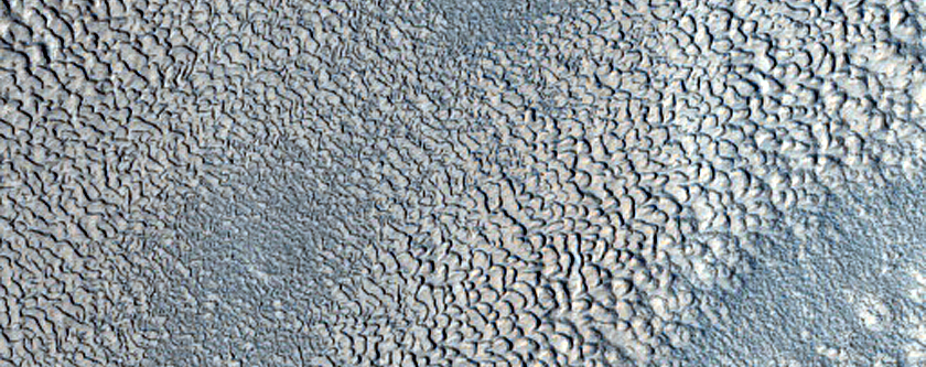 North Arabia Terra
