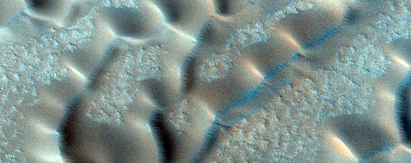 Dunes Dubbed Redondo