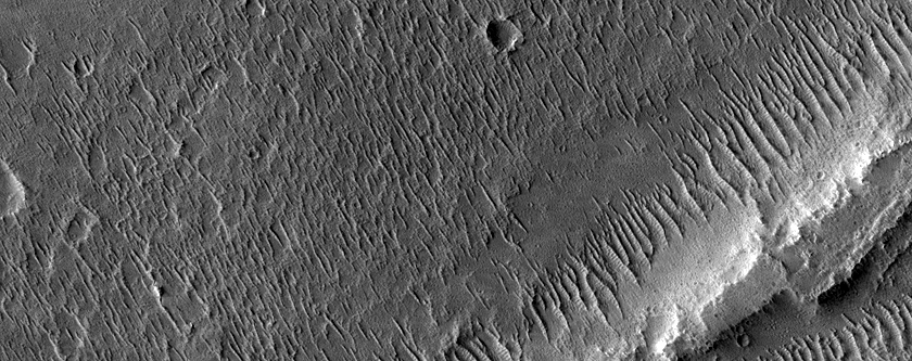 Mareotis Fossae
