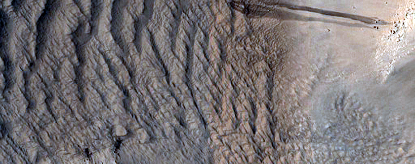 Lycus Sulci