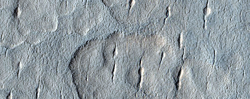 Utopia Planitia Scalloped Depressions