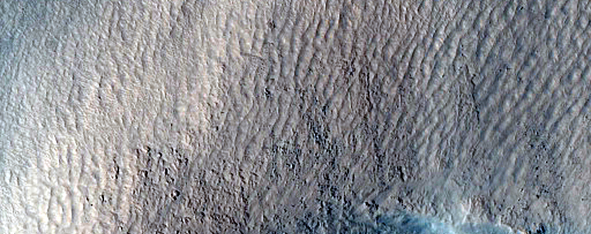 Gully Monitoring