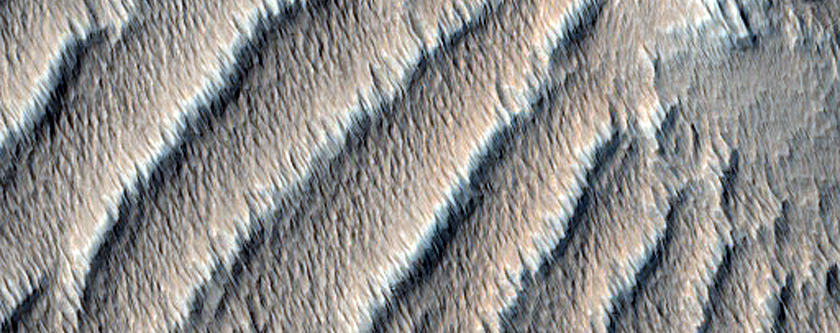 Rocks and Ripples