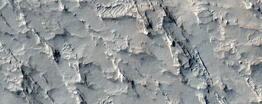 Terrain Sample