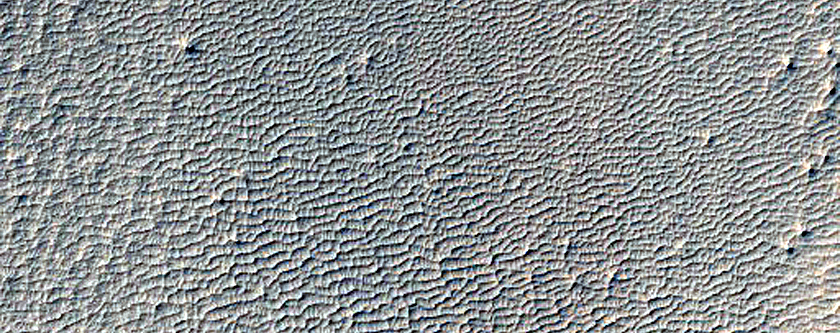 Dark Slope Streak Monitoring in Crater near Apollinaris Mons
