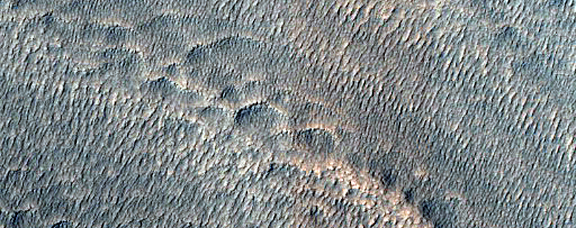 Structures of Debris on Lobate Debris Apron in Nilosyrtis Region