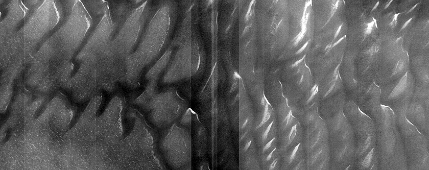 Terrain Sample