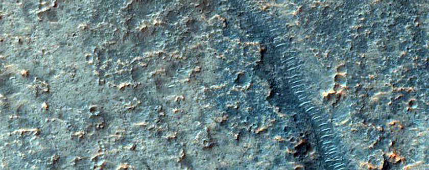 Terrain Sample