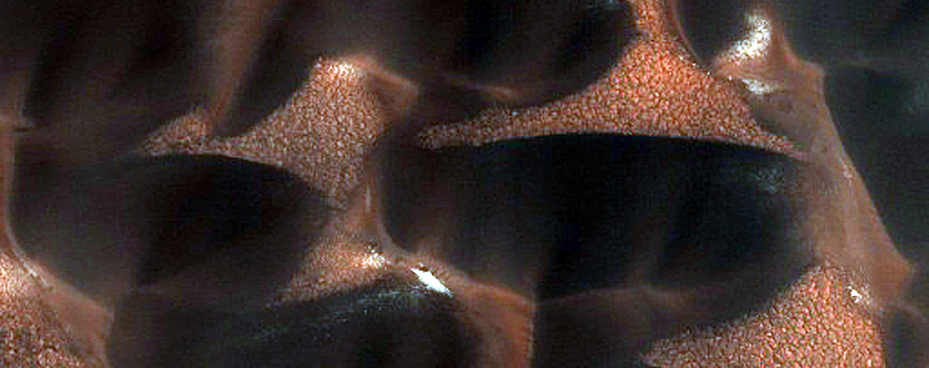 Terrain Sample