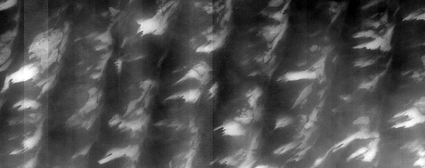 Terrain Sample