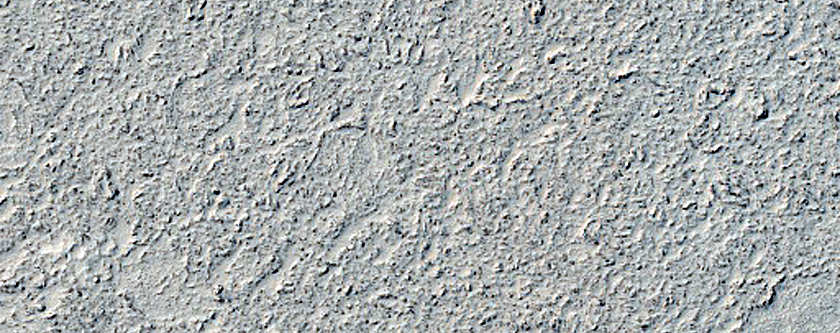 Lava Surfaces in Cerberus Palus