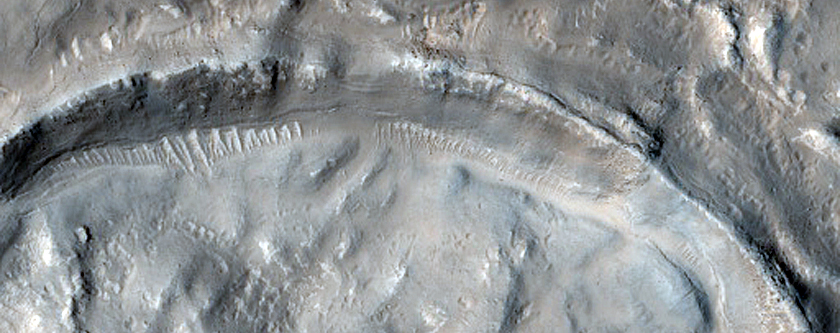 Northern Mid-Latitude Terrain