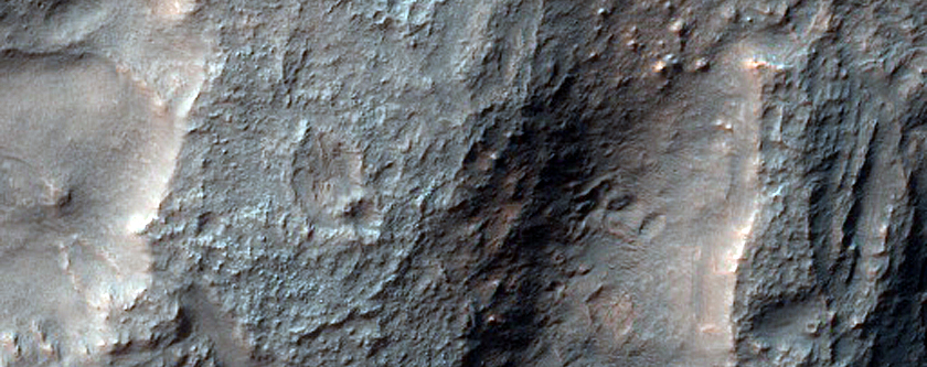 Phyllosilicate-Rich South of Terby Crater
