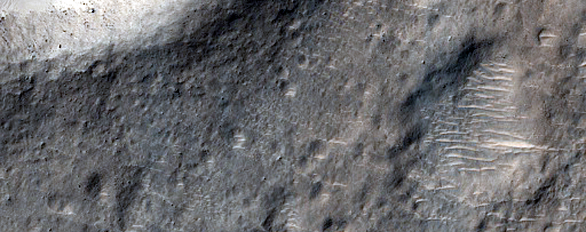 Terrain Sample