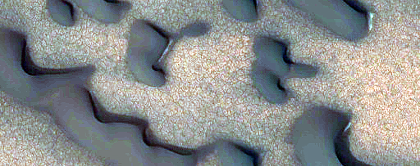 Polar Dunes Monitoring