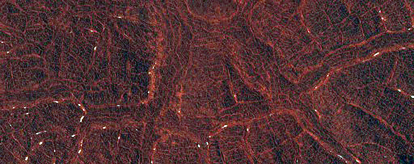 Northern High-Latitude Frost-Enhanced Polygons