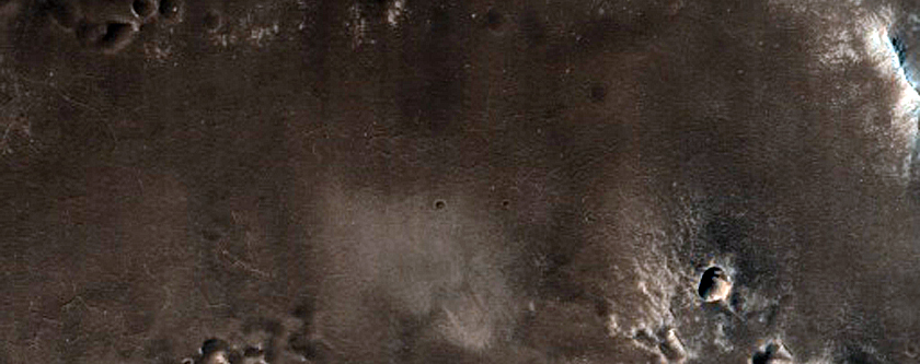 Terrain Sample