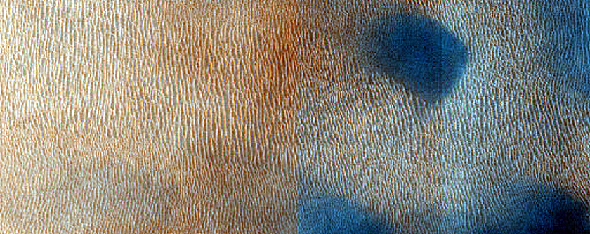 Dune Field