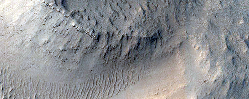 Terrain Sample