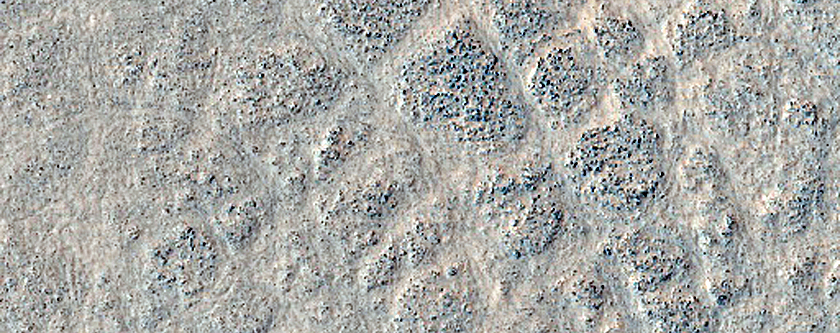 Polygons in Deuteronilus Mensae