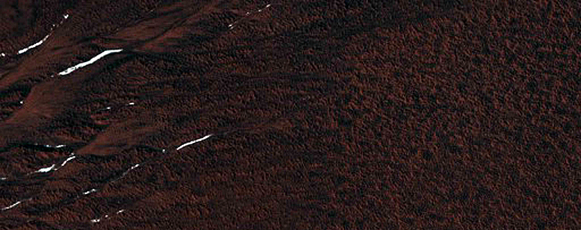 Gully Monitoring
