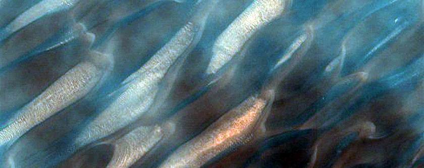 Mid-Erg Dunes in Abalos Undae