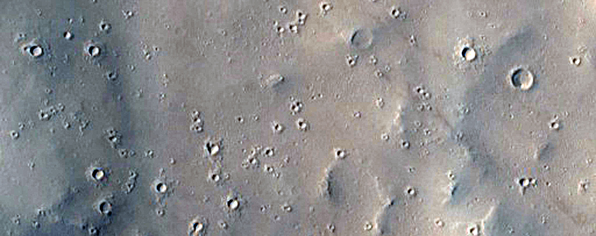 Terrain Sample