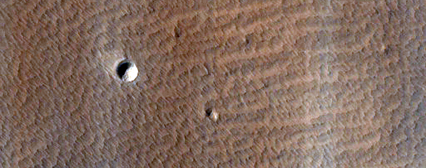 Terrain Sample