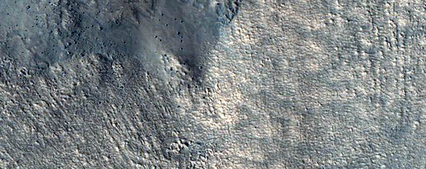 Gullies on North Wall of Nier Crater
