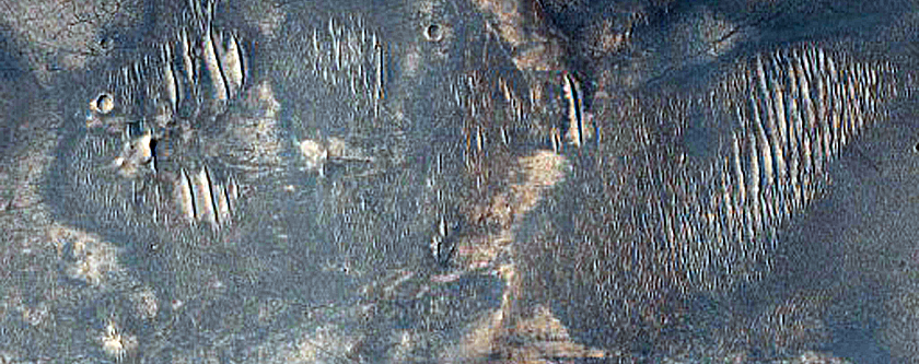 Terrain Sample