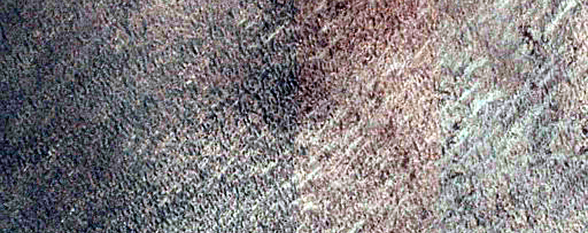 Terrain Sample