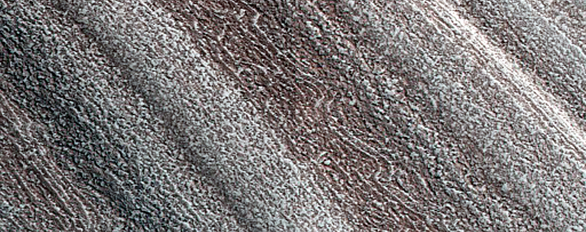 Terrain Sample