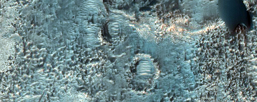 Dune Field