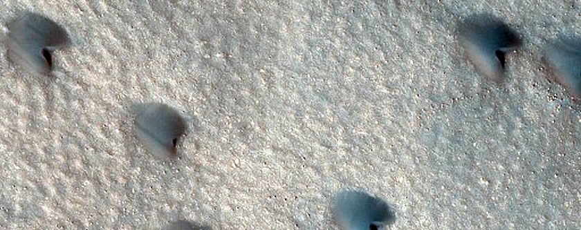 Dune Monitoring