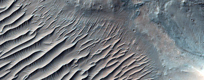 Diverse Materials Exposed in Western Her Desher Vallis