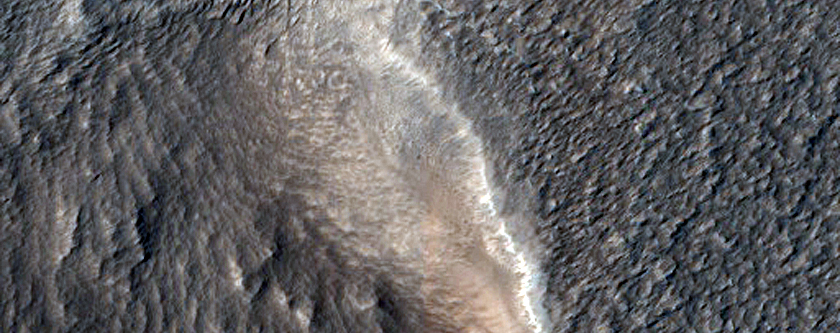 Terrain Sample
