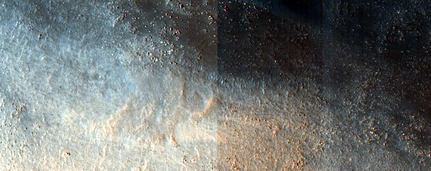 Dune Field