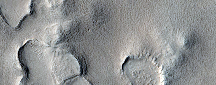 Sinuous Ridges in South Central Ismenius Lacus