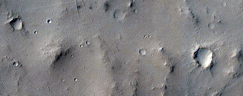 Candidate Fresh Crater Cluster