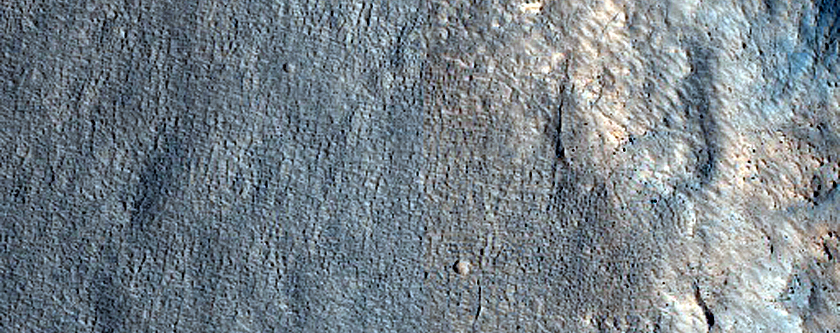 Terrain Sample