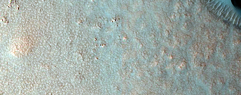 Dune Field
