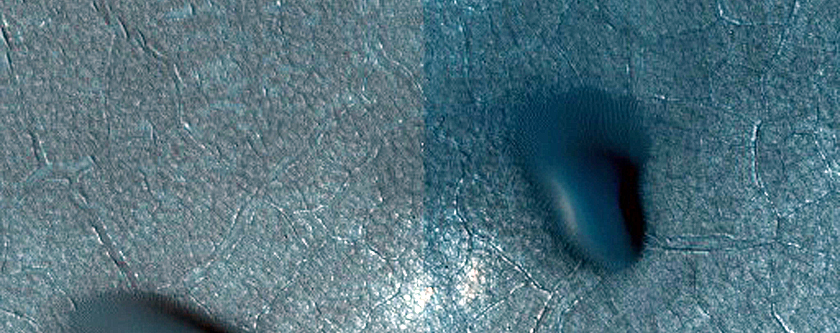 Dune Field